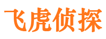 长寿侦探公司